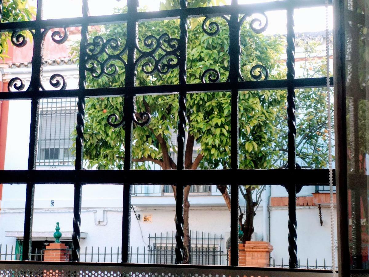 Wish Suite Barrio De Leon En Triana Sevilla Exteriör bild
